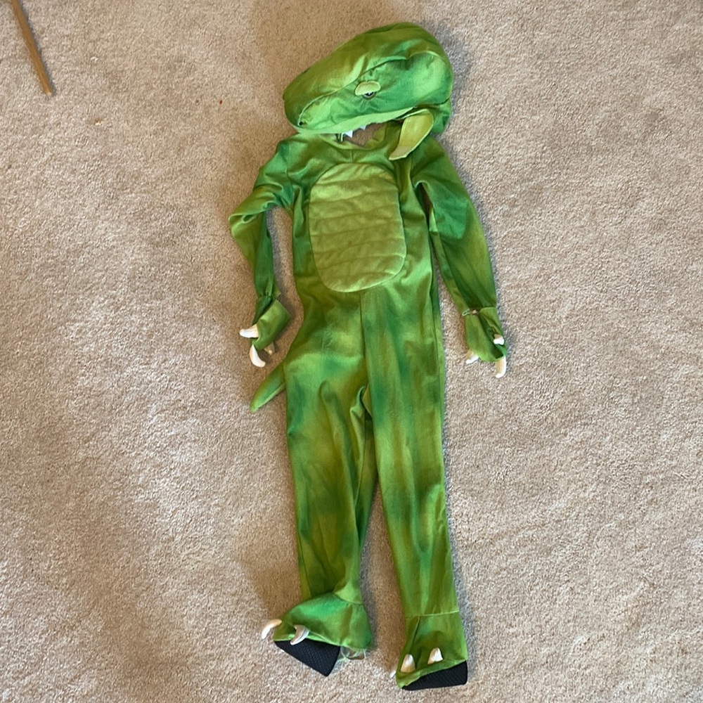 Kids dinosaur costume